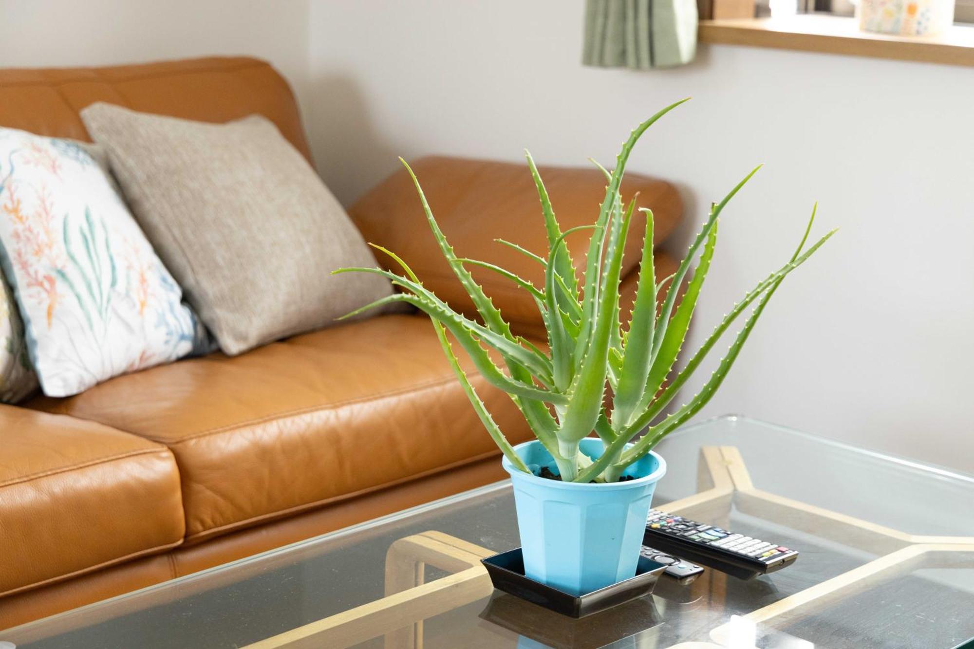 Apartamento Buran House 新大久保駅から徒歩3分 Tokio